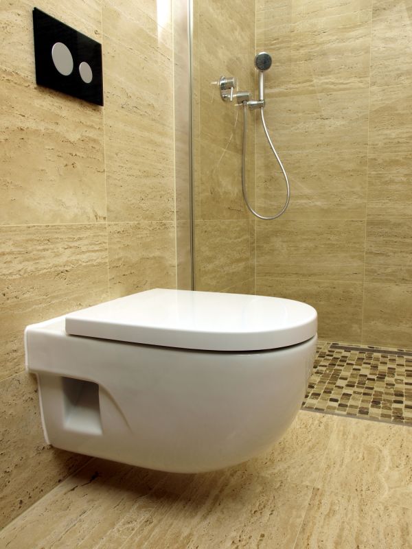 Wall-Mounted Toilets